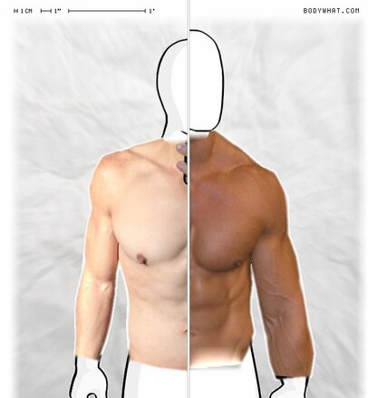 Torso Comparison