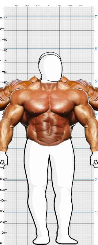 Full Size Comparison