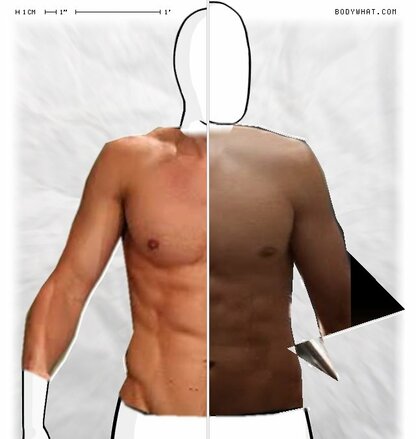 Torso Comparison