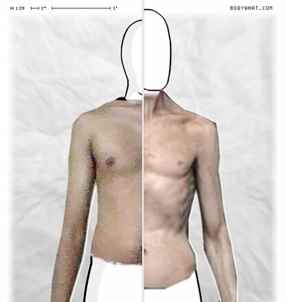 Torso Comparison