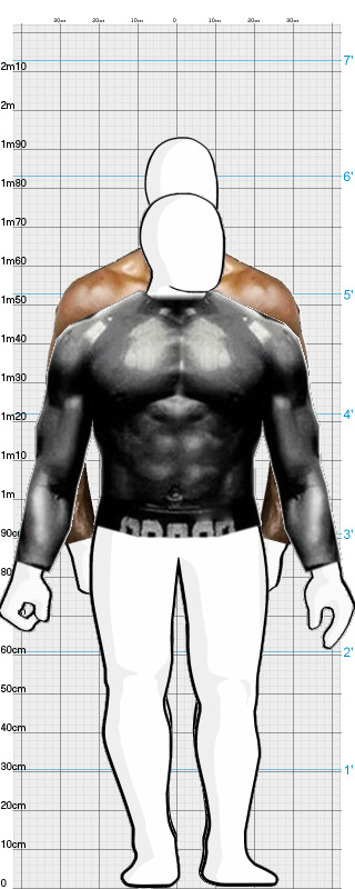 Full Size Comparison