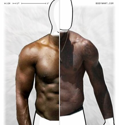 Torso Comparison