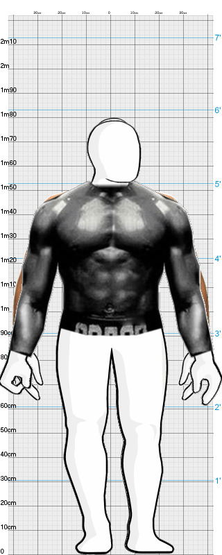 Full Size Comparison
