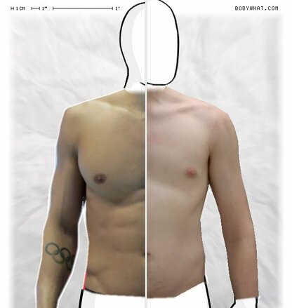 Torso Comparison