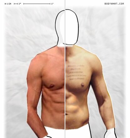 Torso Comparison
