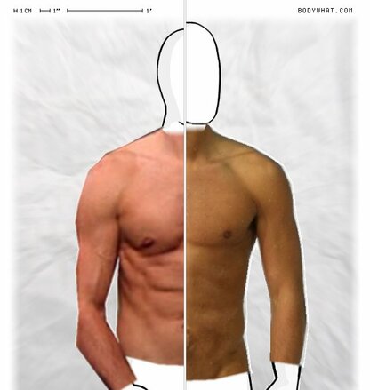 Torso Comparison