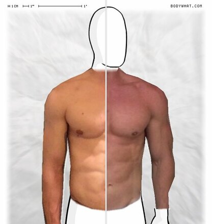 Torso Comparison