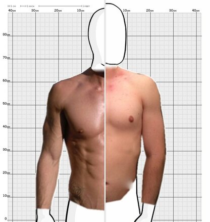 Torso Comparison