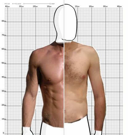 Torso Comparison