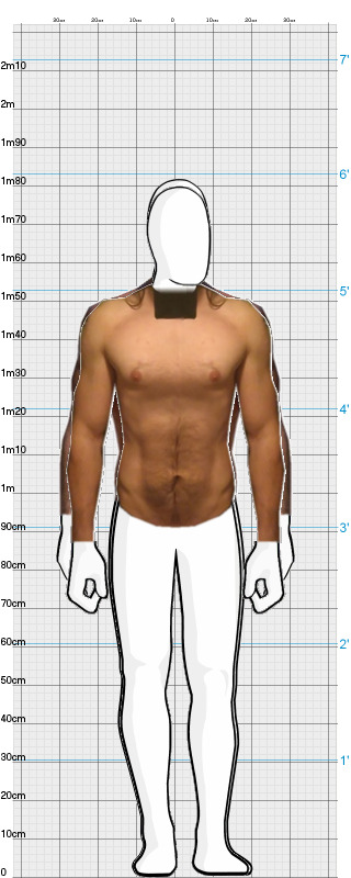 Full Size Comparison