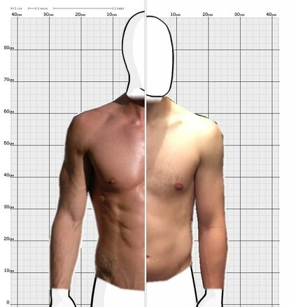 Torso Comparison
