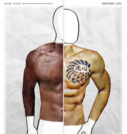 Torso Comparison