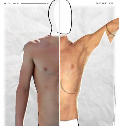 Torso Comparison