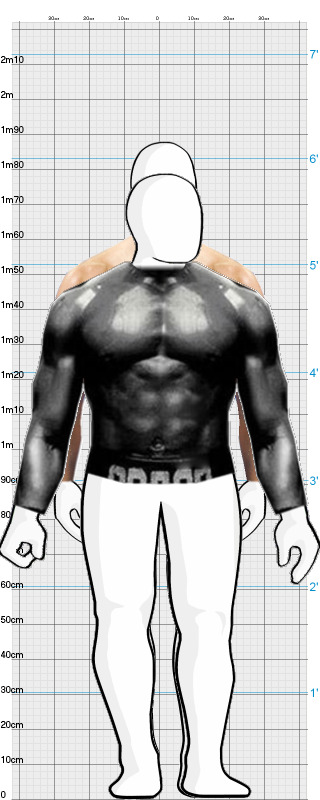 Full Size Comparison