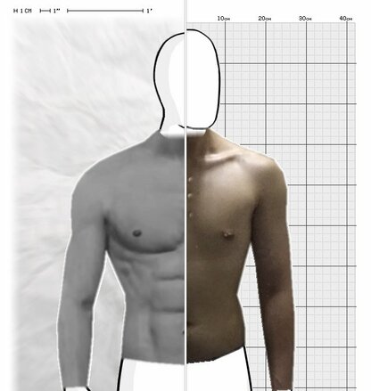Torso Comparison