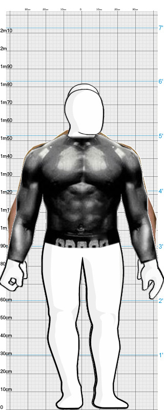 Full Size Comparison