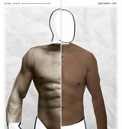 Torso Comparison