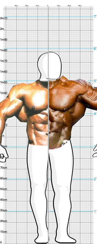 Full Size Comparison