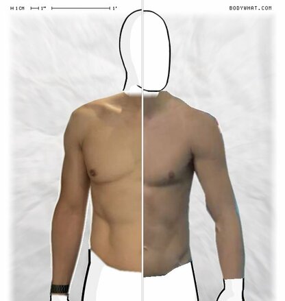Torso Comparison