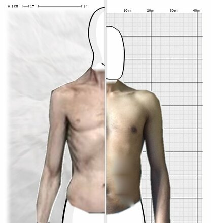 Torso Comparison