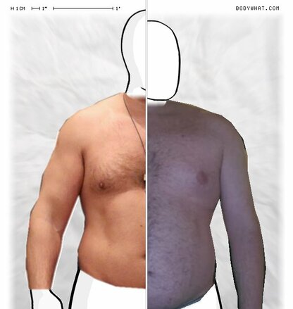 Torso Comparison