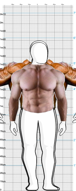 Full Size Comparison