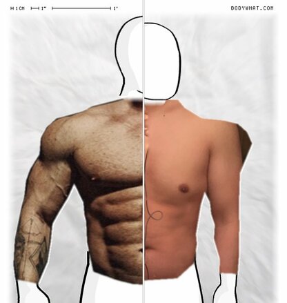 Torso Comparison