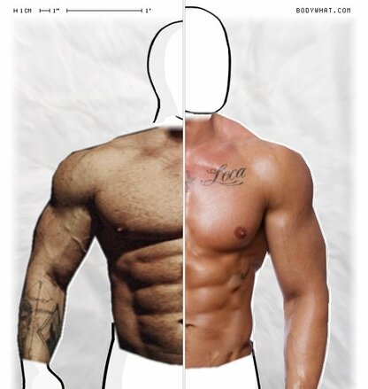 Torso Comparison