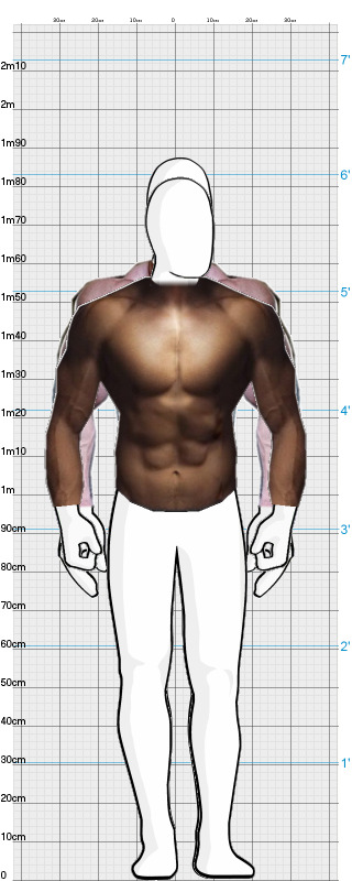 Full Size Comparison