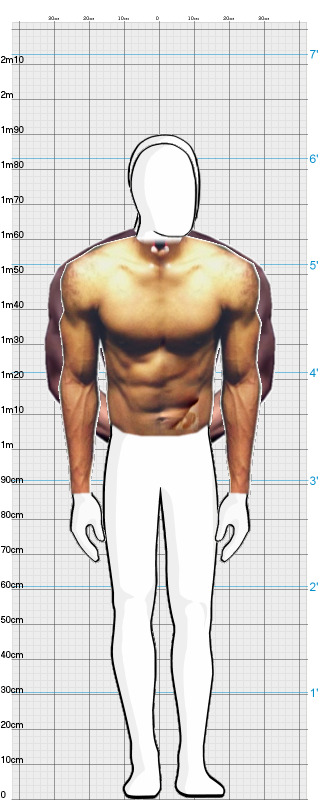 Full Size Comparison