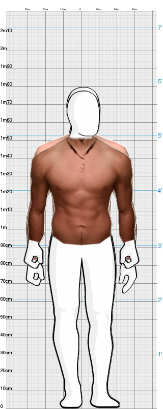 Full Size Comparison