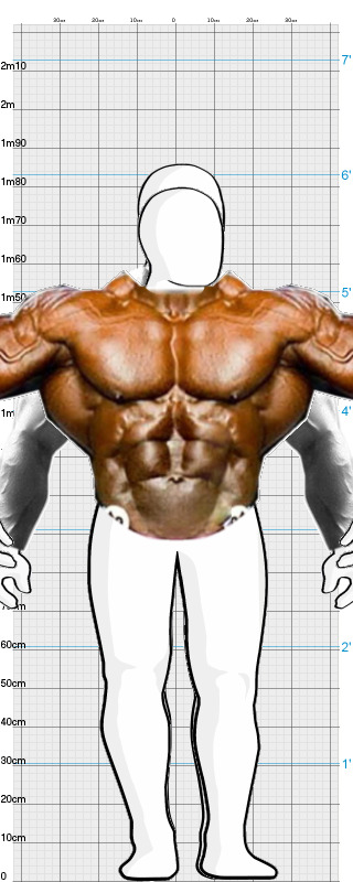 Full Size Comparison