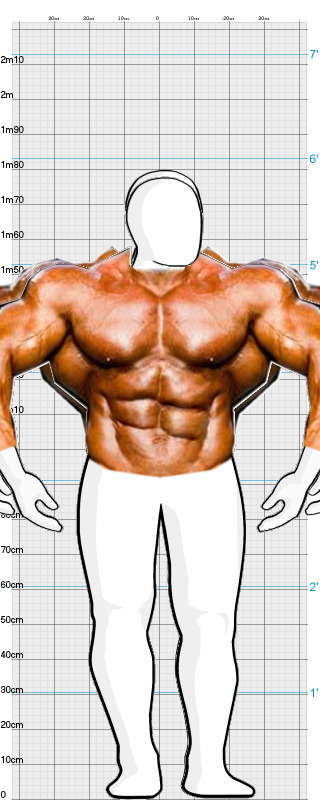 Full Size Comparison