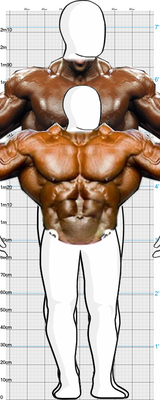Full Size Comparison