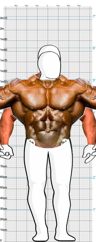 Full Size Comparison