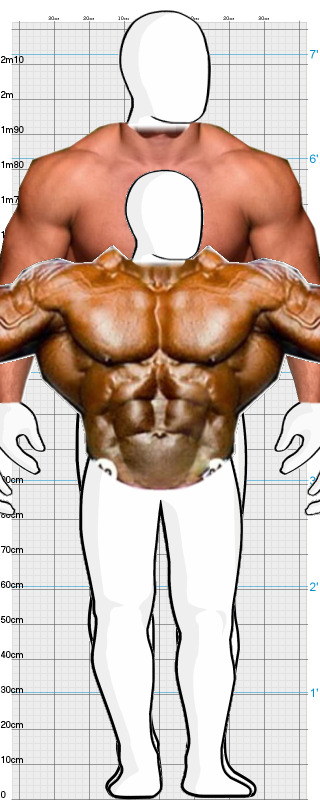 Full Size Comparison