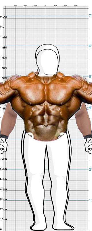 Full Size Comparison