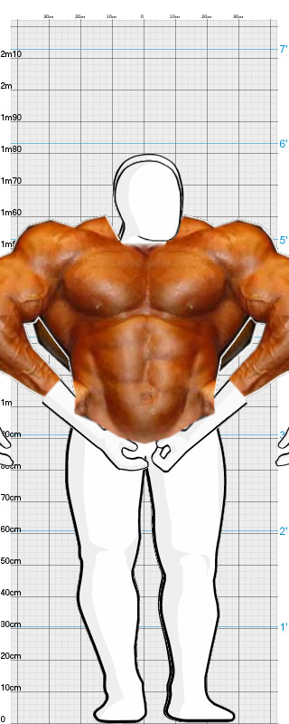 Full Size Comparison
