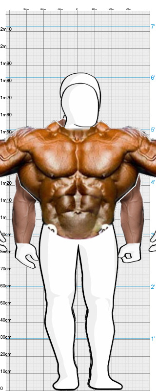 Full Size Comparison
