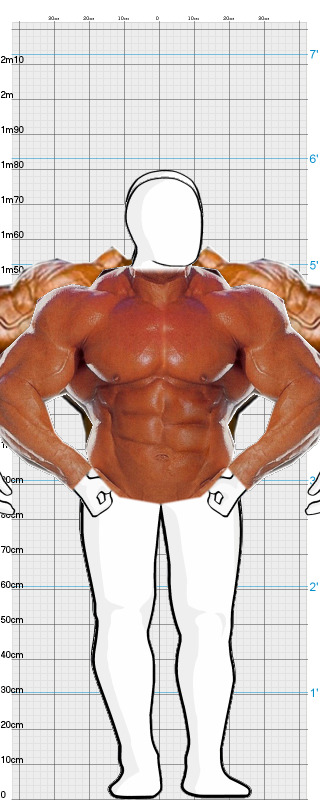Full Size Comparison
