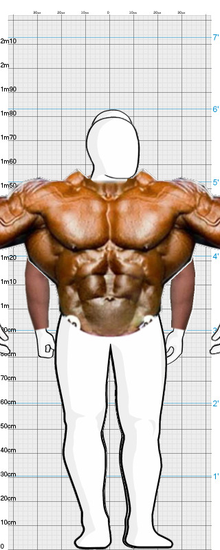 Full Size Comparison