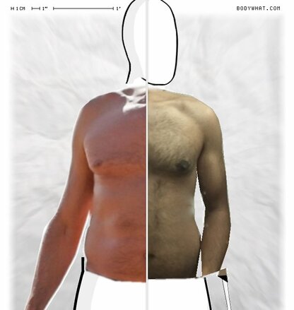 Torso Comparison