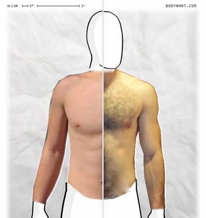 Torso Comparison