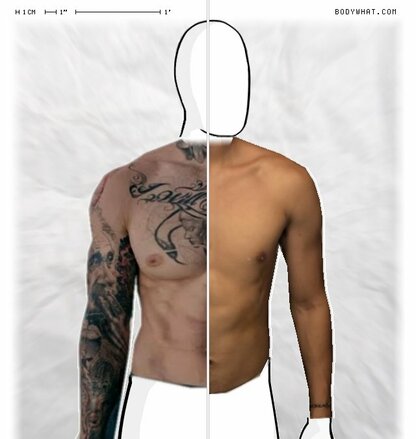 Torso Comparison