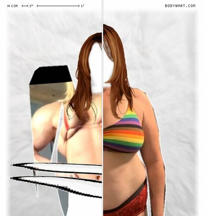 Torso Comparison