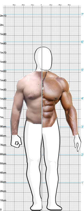 Full Size Comparison