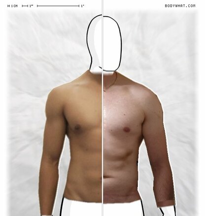 Torso Comparison