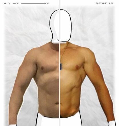 Torso Comparison