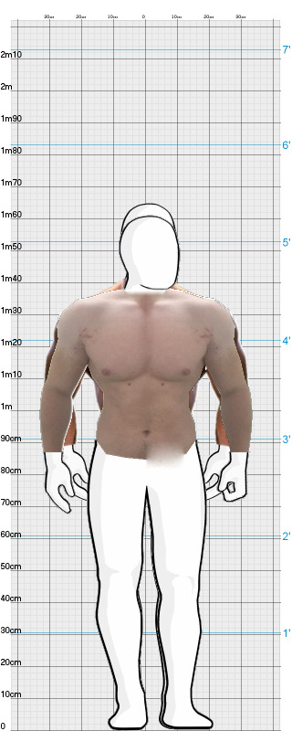 Full Size Comparison