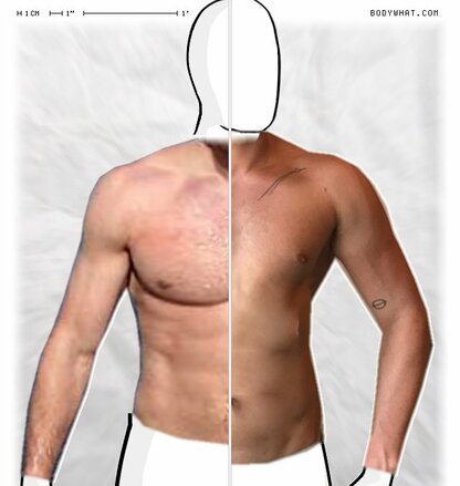 Torso Comparison